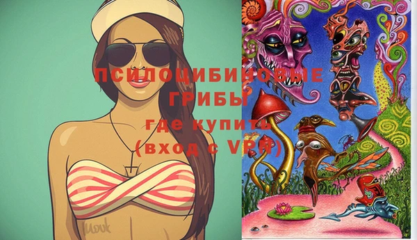 МДПВ Сосновка